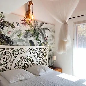 La Rose Des Vents & - Savane Hébergement de vacances